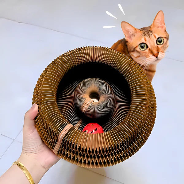 Cat Self-Play Foldable Mushroom Scratcher Tunnel Chaser Ball Toy