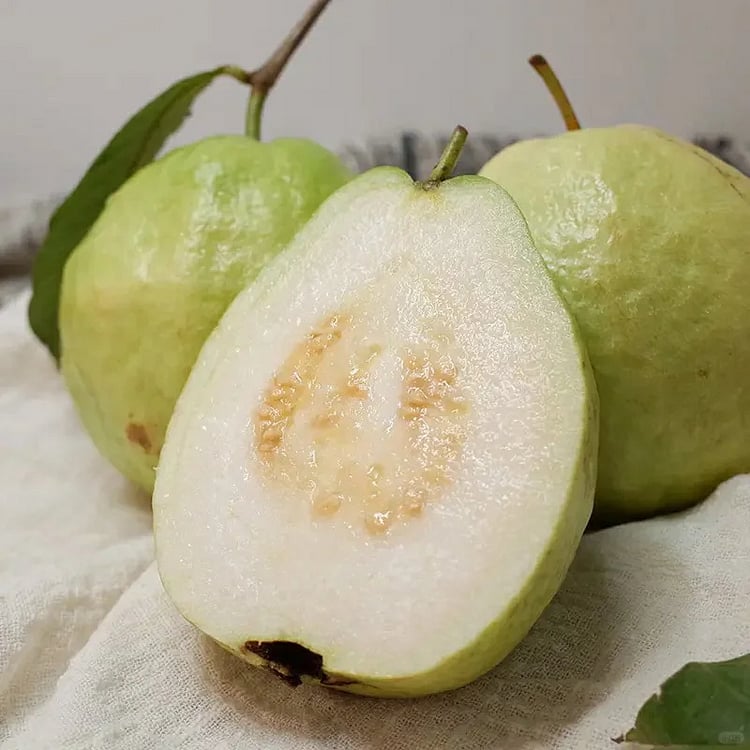 🔥Hot Sale 49%💚 Organic Guava Seeds🌱 Easy Grow