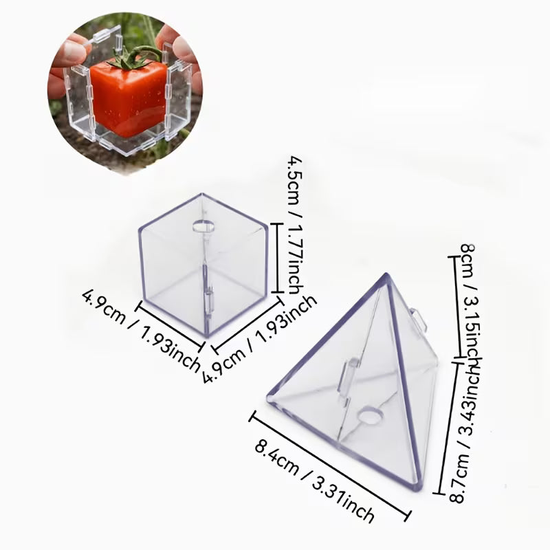 🔥HOT SALE 49% OFF 🔥Fruit Shaping Mold for Growing Unique Triangular and Cubic Shapes