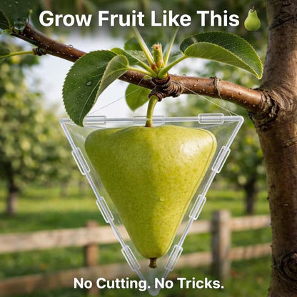 🔥HOT SALE 49% OFF 🔥Fruit Shaping Mold for Growing Unique Triangular and Cubic Shapes