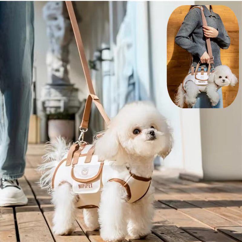 🔥HOT SALE 49% OFF🔥 Small Dog Whole Body Lift Harness Pet Backpack