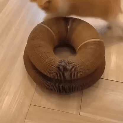 Cat Self-Play Foldable Mushroom Scratcher Tunnel Chaser Ball Toy