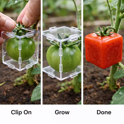 🔥HOT SALE 49% OFF 🔥Fruit Shaping Mold for Growing Unique Triangular and Cubic Shapes