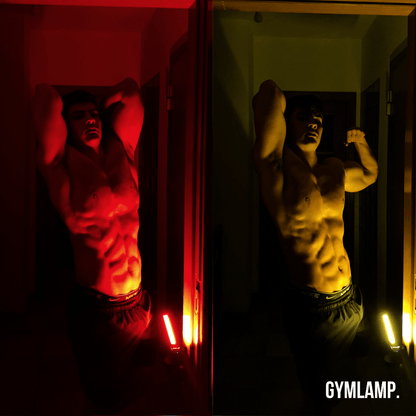 Gym Lamp for Posing, Gym Light Posing Lights for Bodybuilding, Portable Magnet LED Flashlight with 7th Gear Dimming & 180 Degree Folding USB Rechargeable Gym Lighting